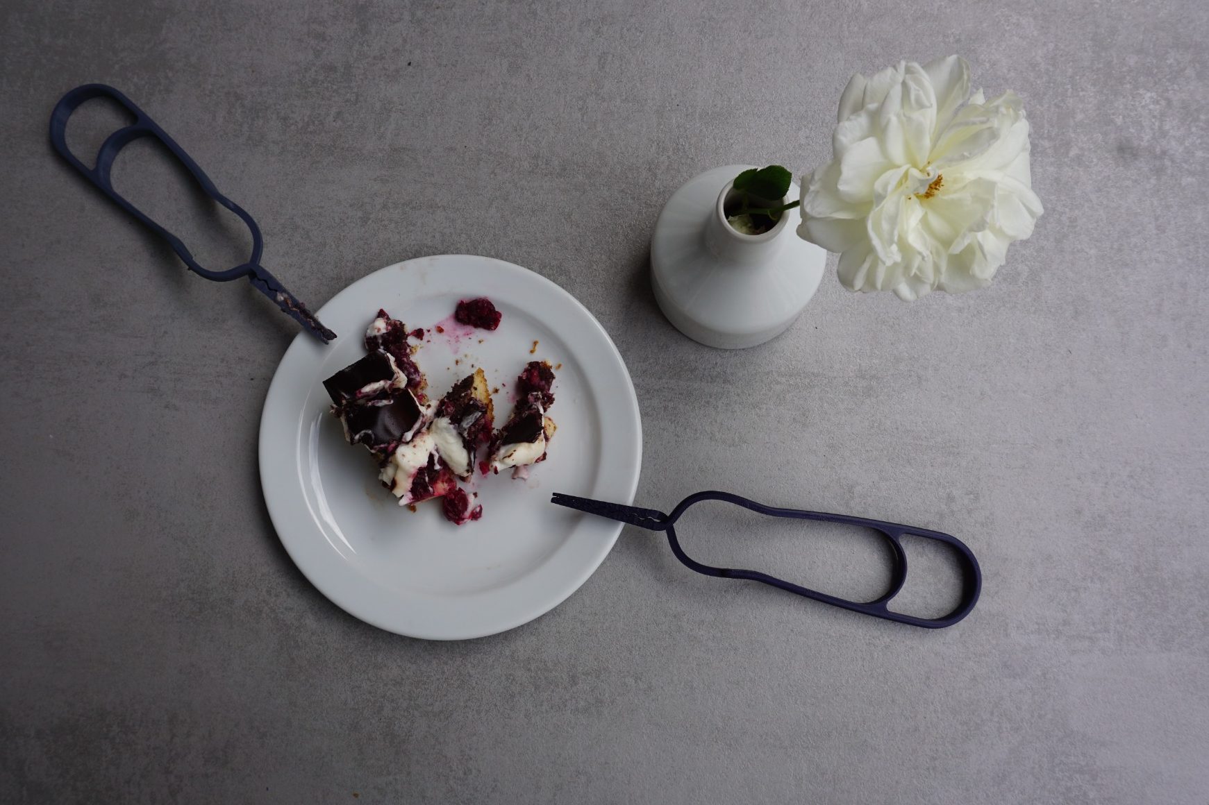 Teller mit Dessert, blühender Pflanze und Lomega Seniorenbesteck